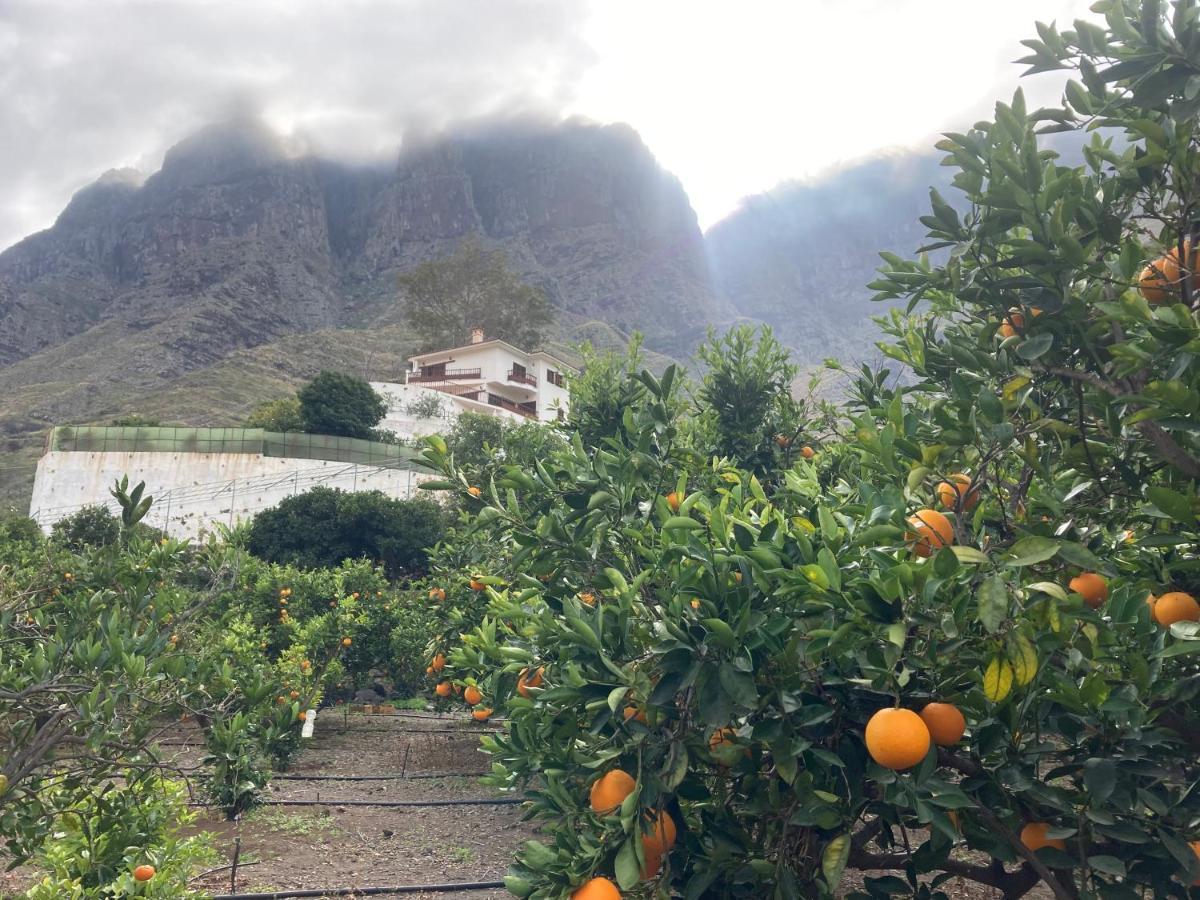 Apartmán Casa Camino Tamadaba II Agaete  Exteriér fotografie