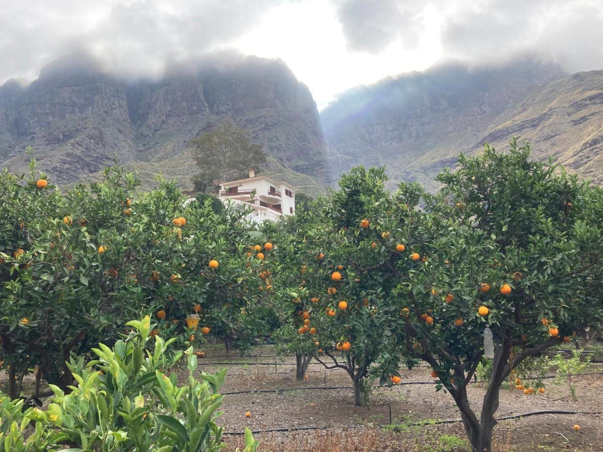 Apartmán Casa Camino Tamadaba II Agaete  Exteriér fotografie